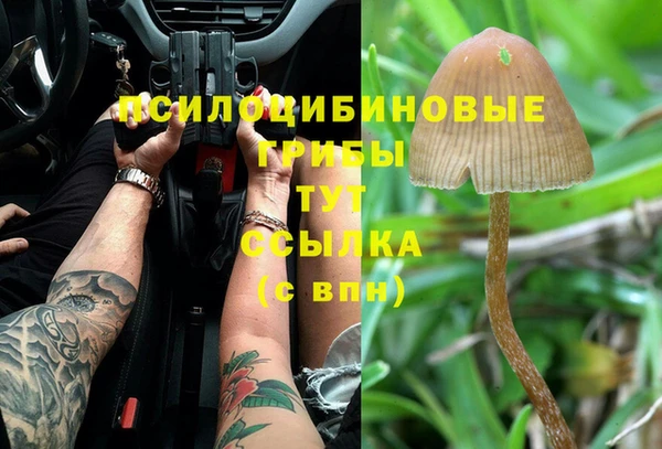 марки lsd Аркадак